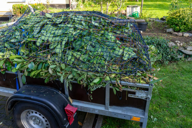 Best Commercial Junk Removal  in Newville, PA